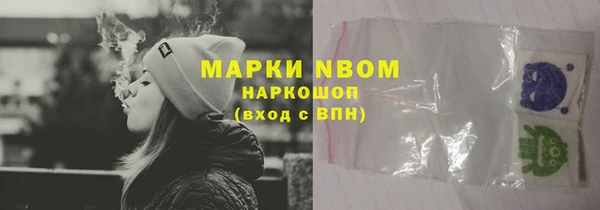 ешки Аркадак