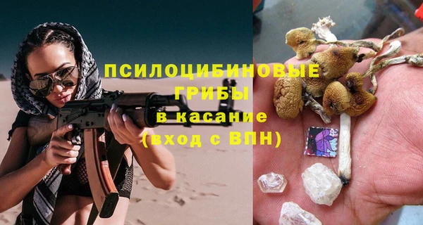 стаф Армянск